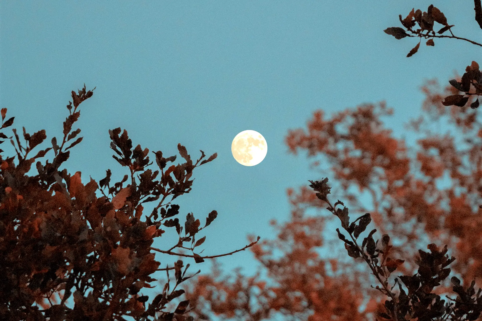 Vollmond Ritual